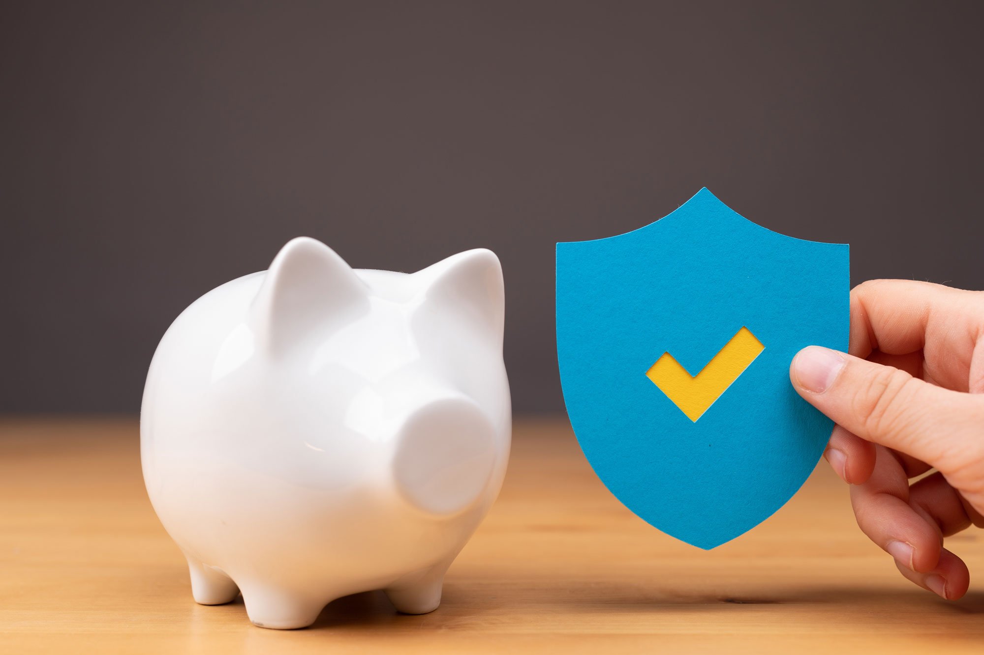 person-holding-a-blue-and-yellow-secured-symbol-ne-2026-03-18-07-04-17-utc